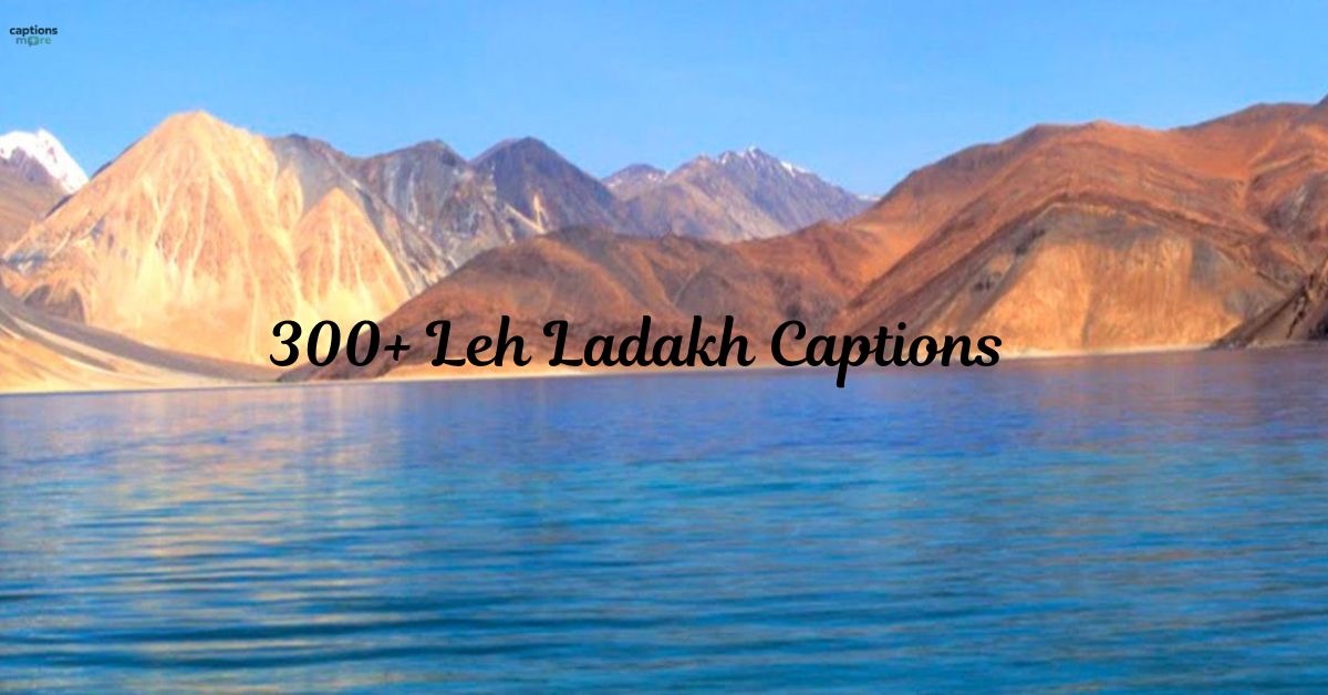 300+ Leh Ladakh Captions