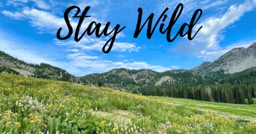 Captions for Nature and Culture