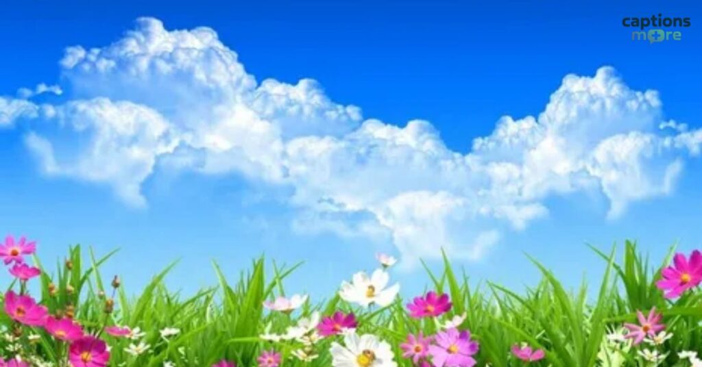 Fun & Playful Blue Sky Captions