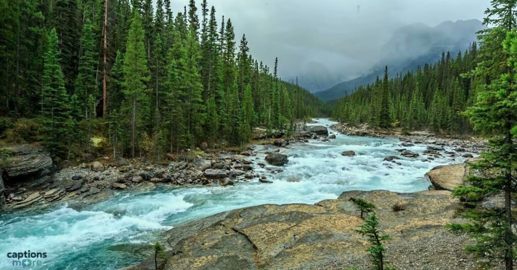 Nature and River Captions