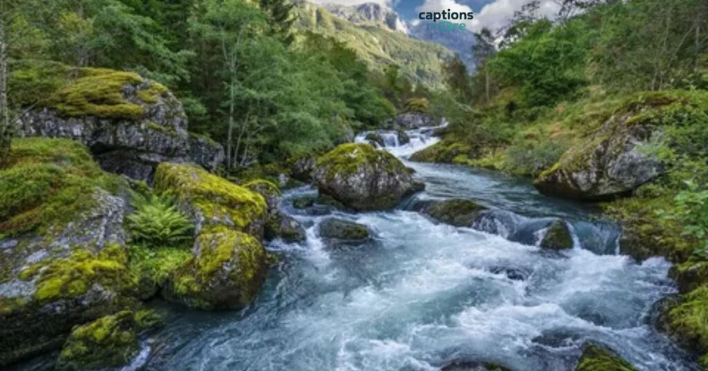 Rivers and Nature Captions