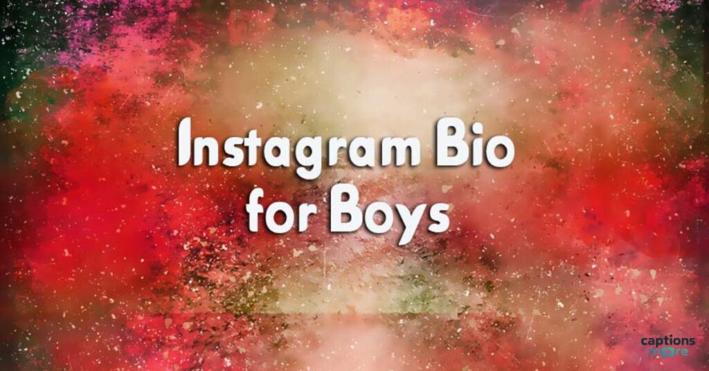 Instagram Bio for Sigma Boys