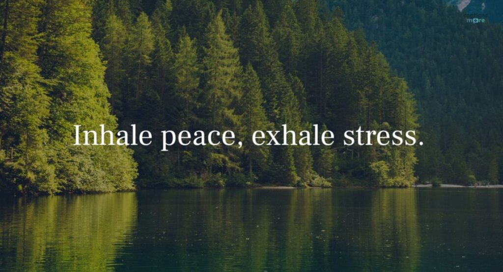 nature captions