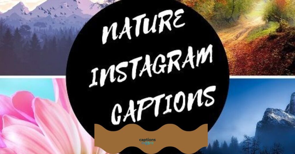 nature captions