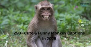 250+ Cute & Funny Monkey Captions in 2025