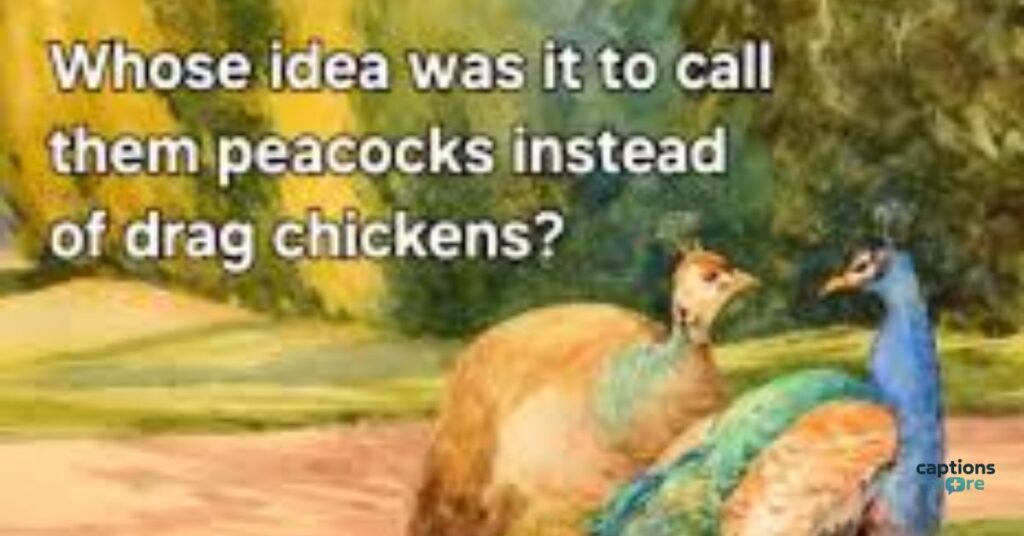 Captions About Humor
