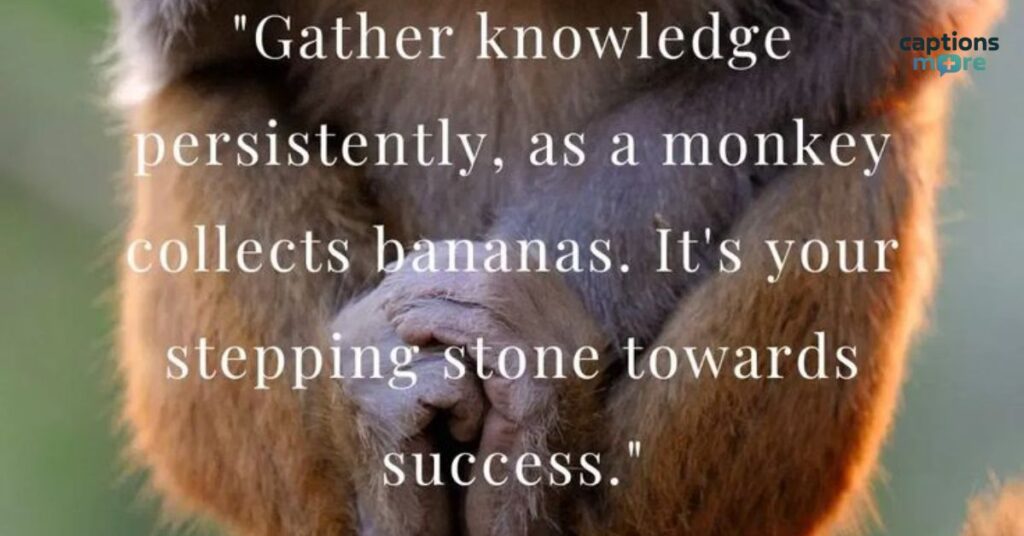 Cute Monkey Captions