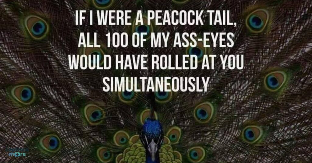 Peacock Captions